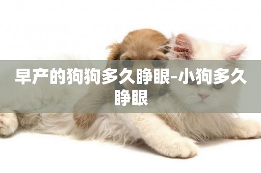 早產的狗狗多久睜眼-小狗多久睜眼