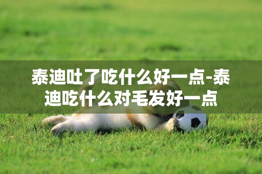 泰迪吐了吃什么好一點-泰迪吃什么對毛發好一點
