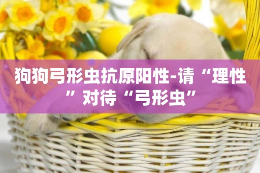 狗狗弓形蟲抗原陽性-請“理性”對待“弓形蟲”