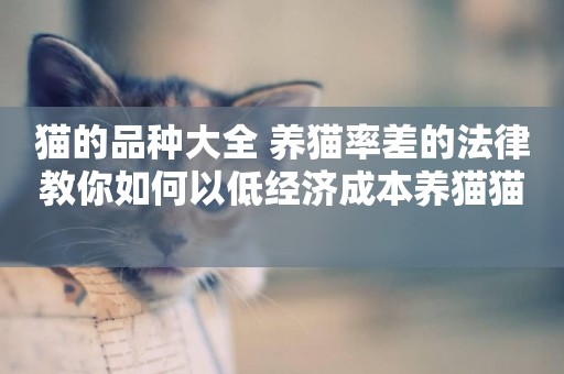 貓的品種大全 養貓率差的法律教你如何以低經濟成本養貓貓 