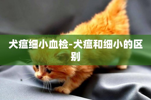 犬瘟細小血檢-犬瘟和細小的區別