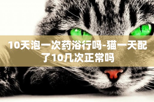 10天泡一次藥浴行嗎-貓一天配了10幾次正常嗎