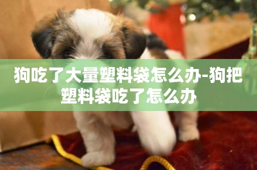 狗吃了大量塑料袋怎么辦-狗把塑料袋吃了怎么辦