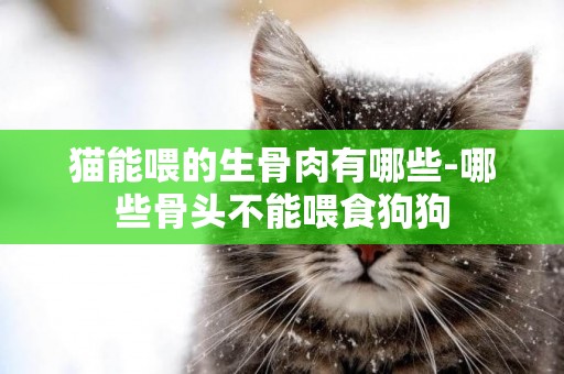 貓能喂的生骨肉有哪些-哪些骨頭不能喂食狗狗