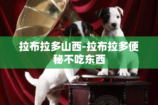 拉布拉多山西-拉布拉多便秘不吃東西