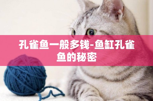 孔雀魚一般多錢-魚缸孔雀魚的秘密