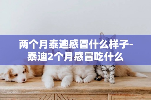 兩個月泰迪感冒什么樣子-泰迪2個月感冒吃什么