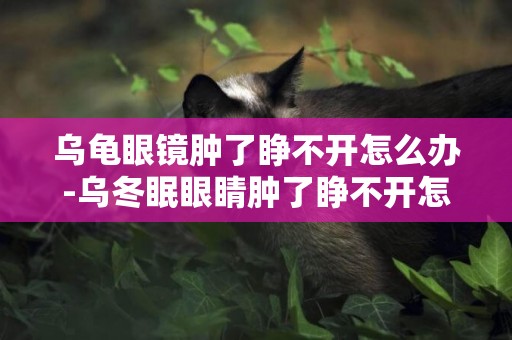 烏龜眼鏡腫了睜不開怎么辦-烏冬眠眼睛腫了睜不開怎么辦
