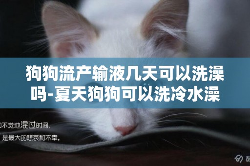狗狗流產輸液幾天可以洗澡嗎-夏天狗狗可以洗冷水澡嗎