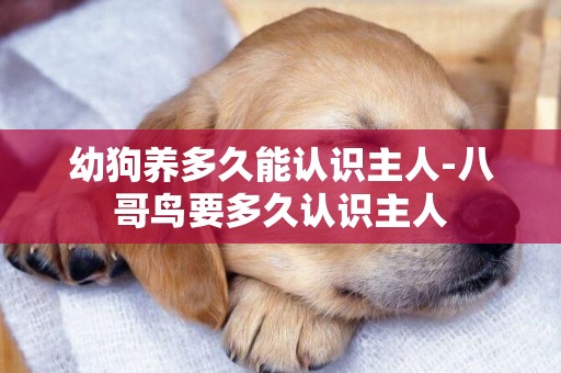 幼狗養多久能認識主人-八哥鳥要多久認識主人