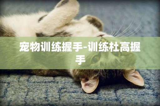 寵物訓練握手-訓練杜高握手