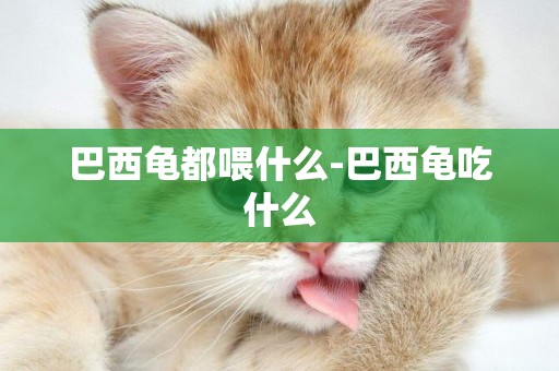 巴西龜都喂什么-巴西龜吃什么