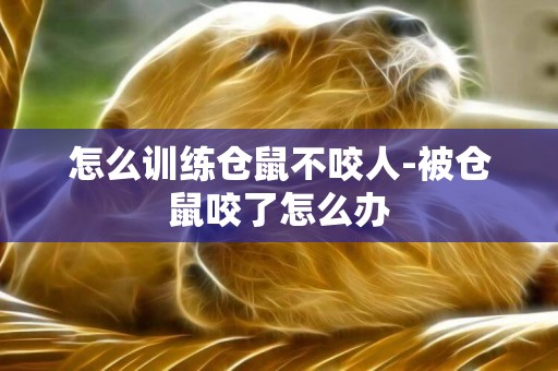 怎么訓練倉鼠不咬人-被倉鼠咬了怎么辦