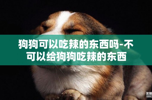 狗狗可以吃辣的東西嗎-不可以給狗狗吃辣的東西