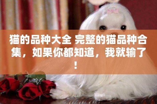 貓的品種大全 完整的貓品種合集，如果你都知道，我就輸了！ 