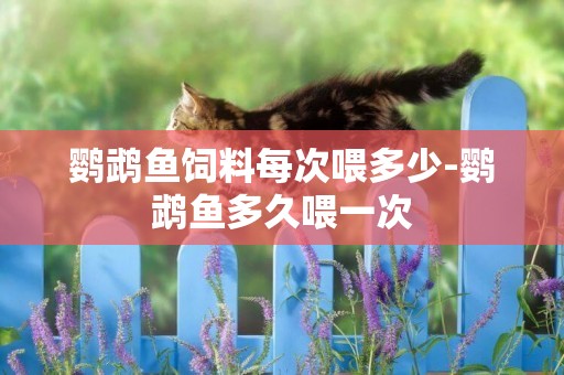 鸚鵡魚飼料每次喂多少-鸚鵡魚多久喂一次