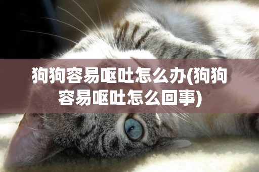 狗狗容易嘔吐怎么辦(狗狗容易嘔吐怎么回事)
