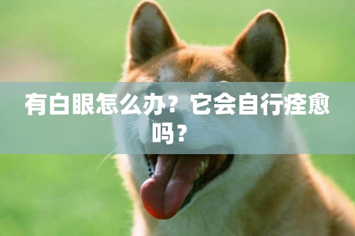 有白眼怎么辦？它會自行痊愈嗎？ 