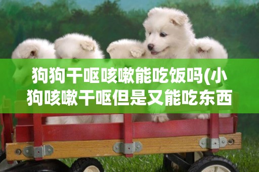 狗狗干嘔咳嗽能吃飯嗎(小狗咳嗽干嘔但是又能吃東西怎么回事)