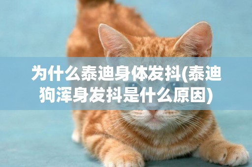 為什么泰迪身體發抖(泰迪狗渾身發抖是什么原因)