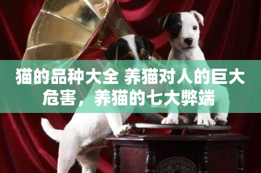 貓的品種大全 養貓對人的巨大危害，養貓的七大弊端 