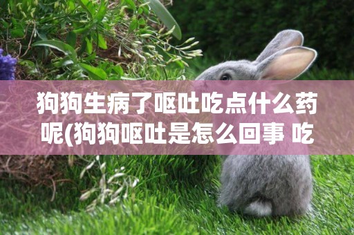 狗狗生病了嘔吐吃點什么藥呢(狗狗嘔吐是怎么回事 吃什么藥)