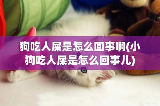 狗吃人屎是怎么回事啊(小狗吃人屎是怎么回事兒)