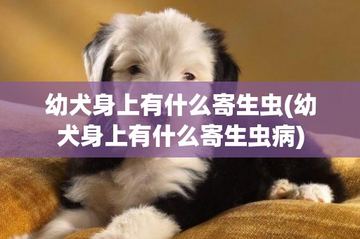 幼犬身上有什么寄生蟲(幼犬身上有什么寄生蟲病)