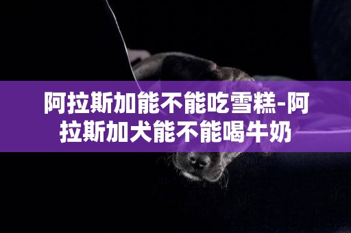 阿拉斯加能不能吃雪糕-阿拉斯加犬能不能喝牛奶