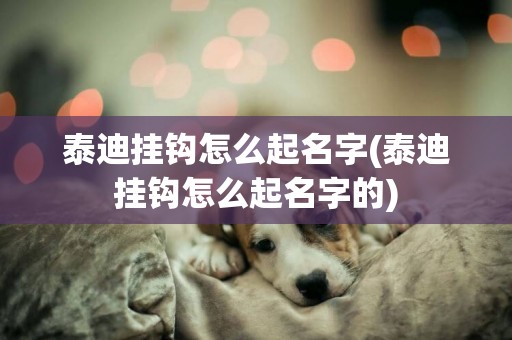 泰迪掛鉤怎么起名字(泰迪掛鉤怎么起名字的)