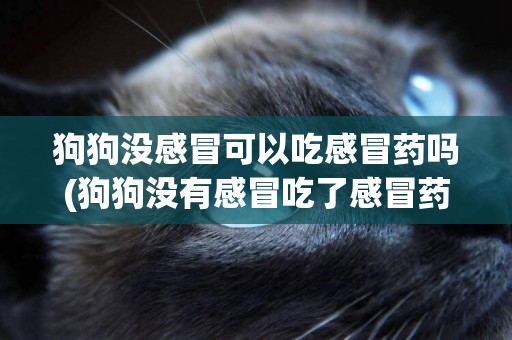 狗狗沒感冒可以吃感冒藥嗎(狗狗沒有感冒吃了感冒藥會怎么樣)