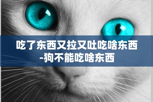 吃了東西又拉又吐吃啥東西-狗不能吃啥東西