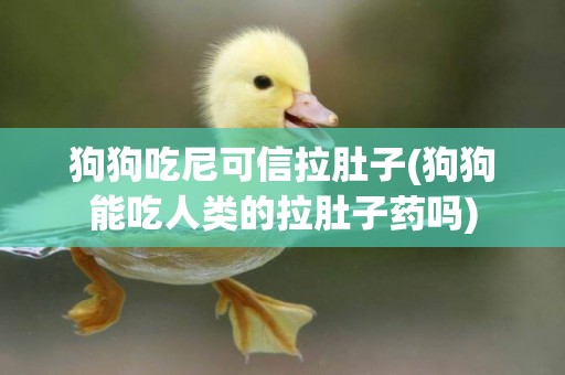狗狗吃尼可信拉肚子(狗狗能吃人類的拉肚子藥嗎)