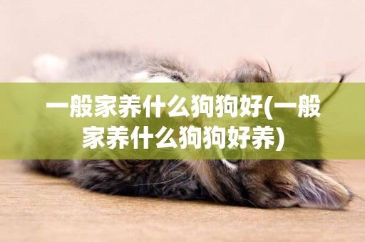 一般家養什么狗狗好(一般家養什么狗狗好養)