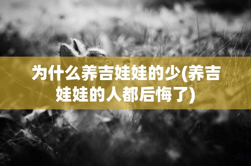 為什么養吉娃娃的少(養吉娃娃的人都后悔了)