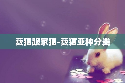 藪貓跟家貓-藪貓亞種分類