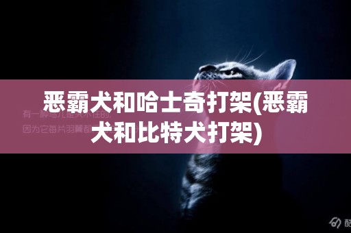 惡霸犬和哈士奇打架(惡霸犬和比特犬打架)