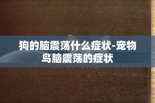 狗的腦震蕩什么癥狀-寵物鳥腦震蕩的癥狀