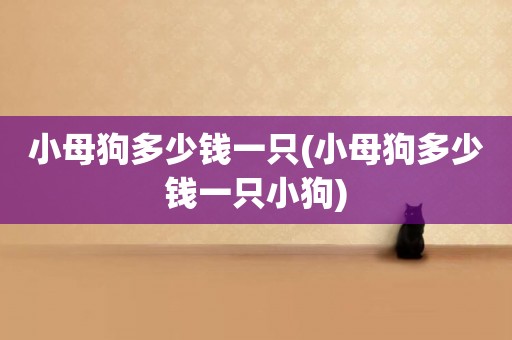 小母狗多少錢一只(小母狗多少錢一只小狗)