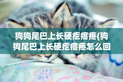 狗狗尾巴上長硬疙瘩疼(狗狗尾巴上長硬疙瘩疼怎么回事)