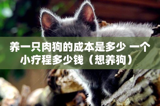 養一只肉狗的成本是多少 一個小療程多少錢（想養狗） 