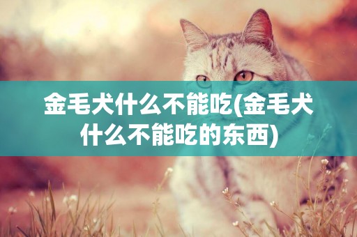 金毛犬什么不能吃(金毛犬什么不能吃的東西)