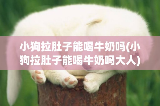 小狗拉肚子能喝牛奶嗎(小狗拉肚子能喝牛奶嗎大人)