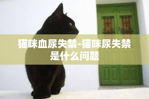 貓咪血尿失禁-貓咪尿失禁是什么問題