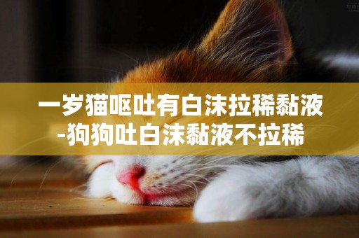 一歲貓嘔吐有白沫拉稀黏液-狗狗吐白沫黏液不拉稀