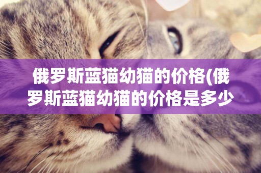 俄羅斯藍貓幼貓的價格(俄羅斯藍貓幼貓的價格是多少)
