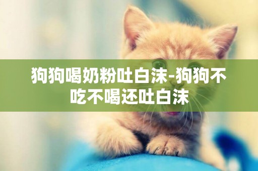 狗狗喝奶粉吐白沫-狗狗不吃不喝還吐白沫