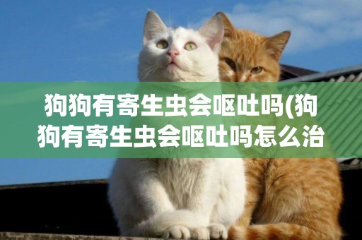 狗狗有寄生蟲會嘔吐嗎(狗狗有寄生蟲會嘔吐嗎怎么治療)