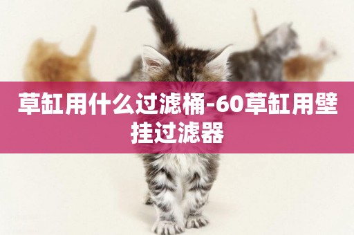 草缸用什么過濾桶-60草缸用壁掛過濾器