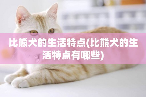 比熊犬的生活特點(比熊犬的生活特點有哪些)